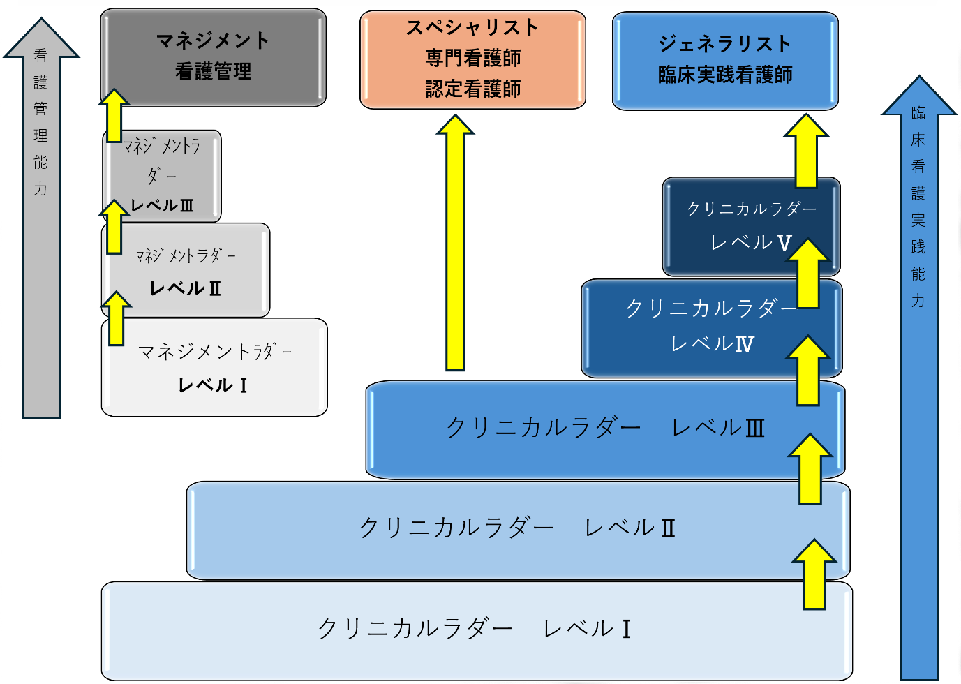 苑田会グループキャリア開発イメージ