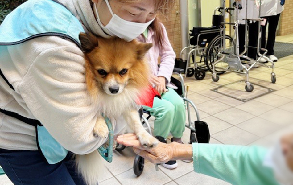 保護犬とのふれあい