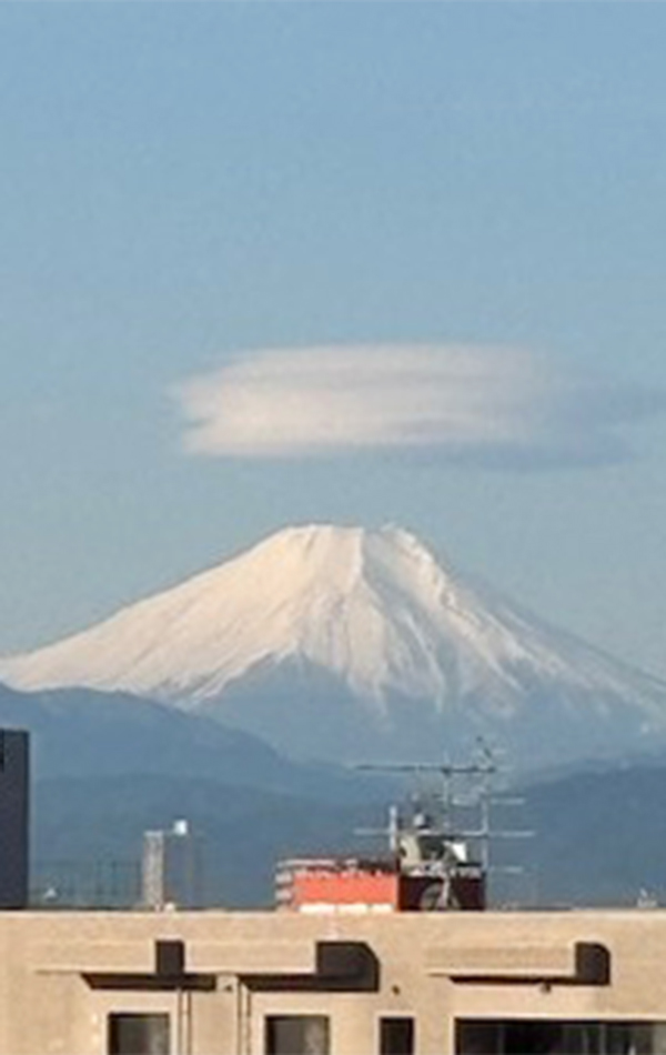 最近のトピックスをまとめてご紹介